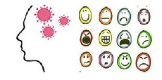 IMG_enquesta_FP